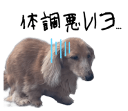 648873688