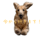648873689