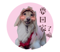 648884360