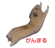 648893756