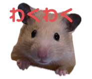 648893759