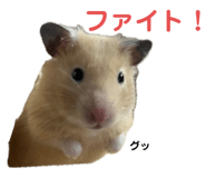 648893762