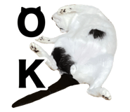 648925001