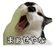 648925002
