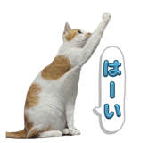 648925004