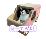 648925008