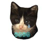 648925011