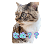 648925016