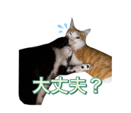 648925017