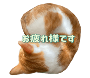 648925019