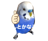 648925151