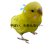 648925152