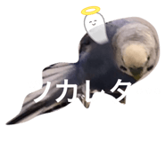 648925156