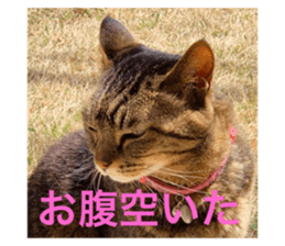 648935245