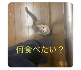 649127786