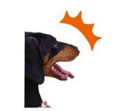 649157988