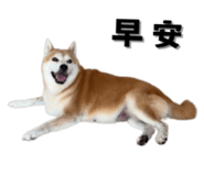 649159975