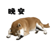 649159977