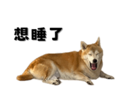 649159978