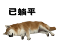 649159979