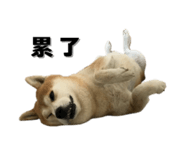 649159980