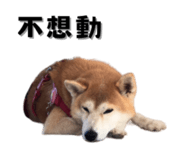 649159981