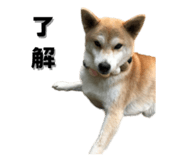 649159983