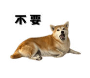 649159984