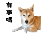 649159986