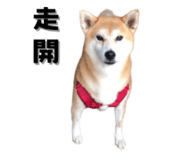 649159987