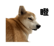 649159988