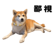 649159989