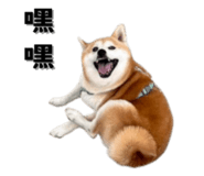 649159991
