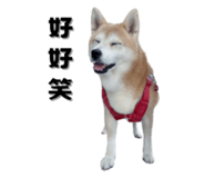 649159992