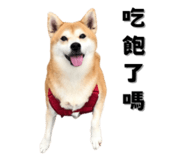 649159994
