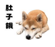 649159995