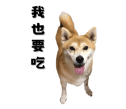 649159997