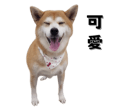 649159998