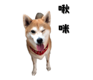 649159999