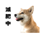 649160001