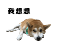 649160004