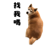 649160005