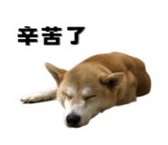 649160009