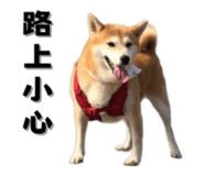 649160012