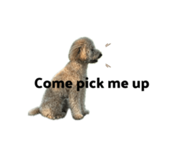 649183088