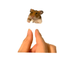 649184958