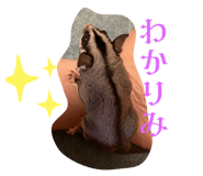 649193103