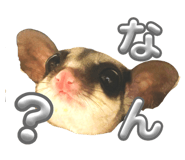 649193117