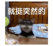649229742