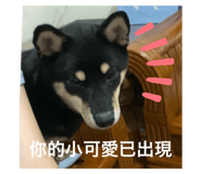 649229745